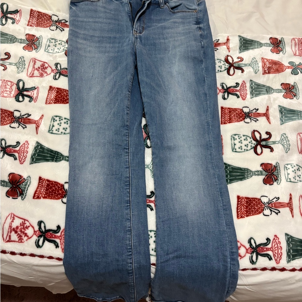 American Eagle Women’s Low Rise Baggy Jeans